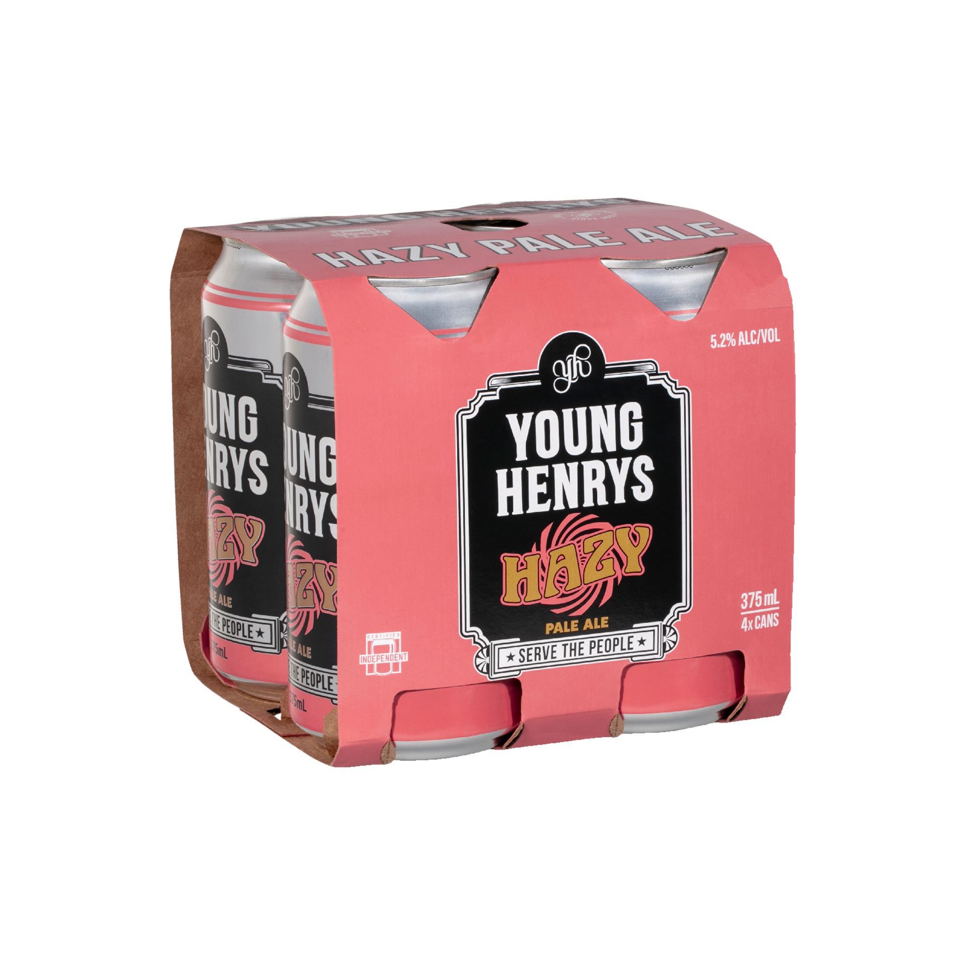 Hazy Pale Ale - Thumbnail 2