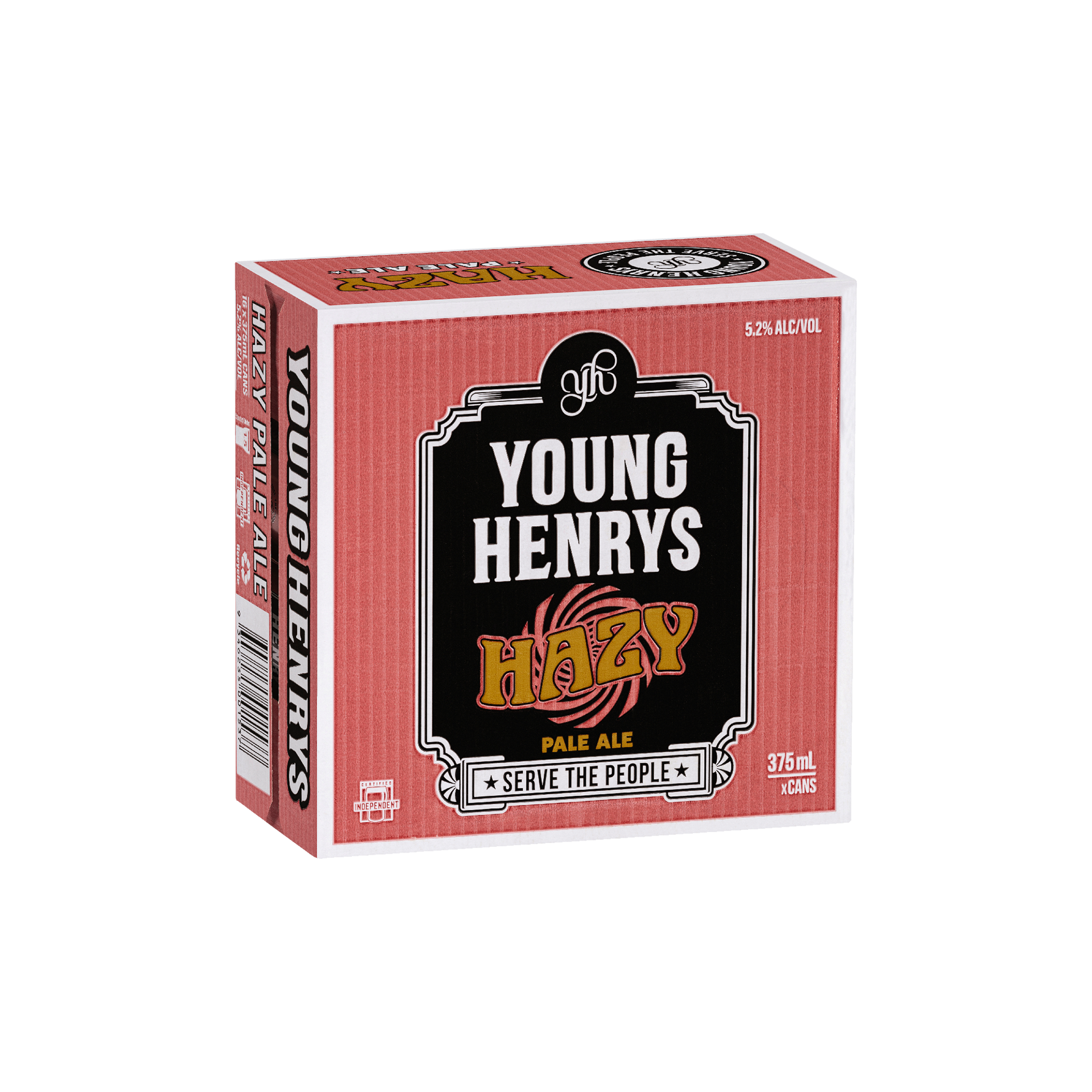 Hazy Pale Ale - Thumbnail 4